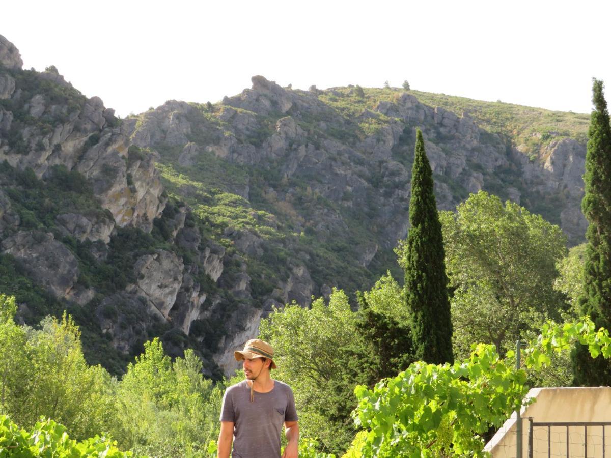 Villa Ripaud, Private River Swimming, Hot Tub Villeseque-des-Corbieres Εξωτερικό φωτογραφία